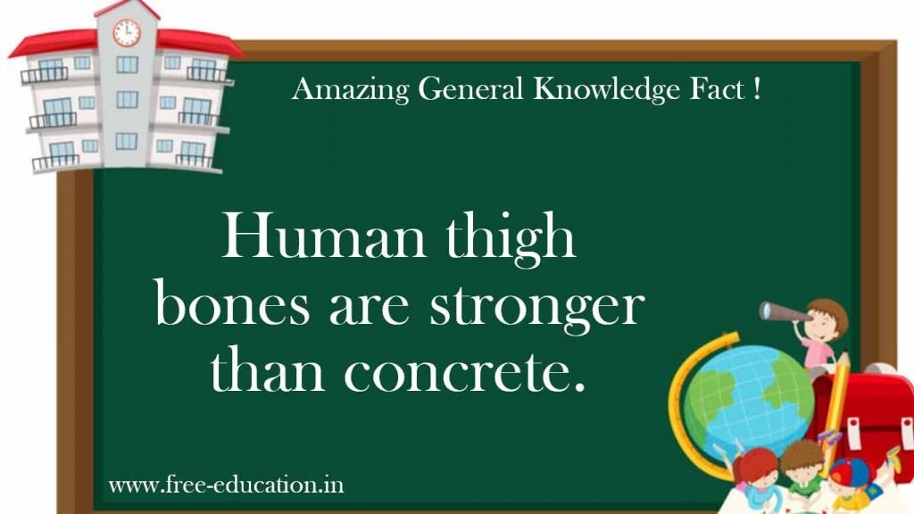 GK facts