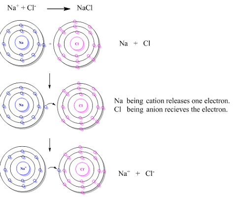 The Solid State Notes