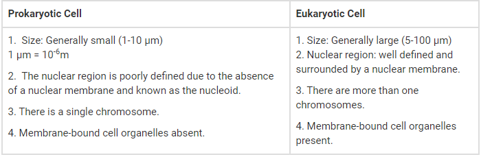 the fundamental unit of life