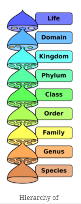 diversity in living organisms